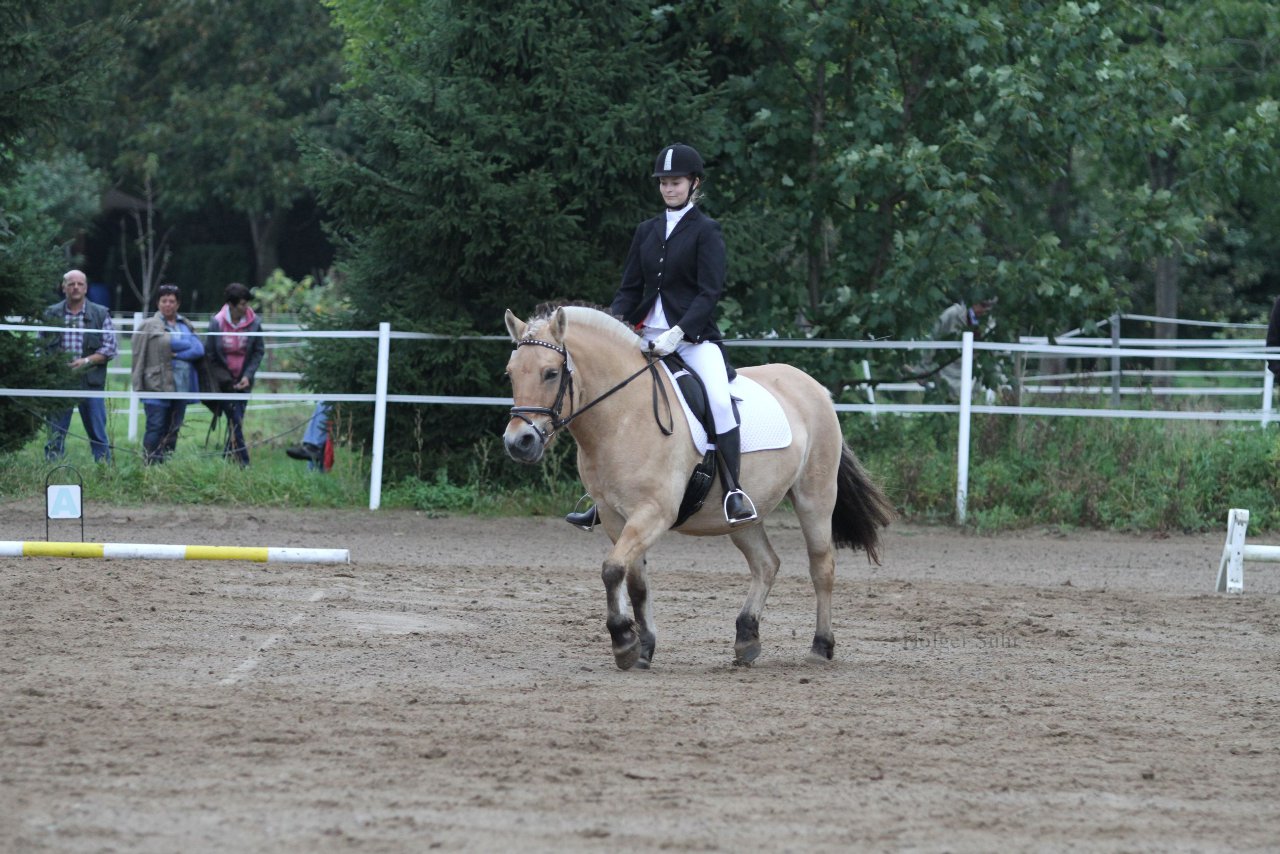 Bild 400 - WBO-Turnier am 18.9.11
